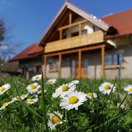 Wandertraum Johann - Fewo Eifel Kruft エクステリア 写真