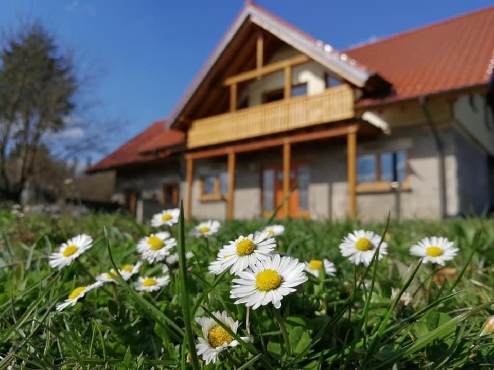 Wandertraum Johann - Fewo Eifel Kruft エクステリア 写真
