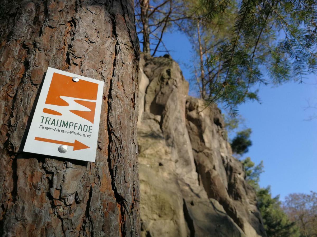 Wandertraum Johann - Fewo Eifel Kruft エクステリア 写真
